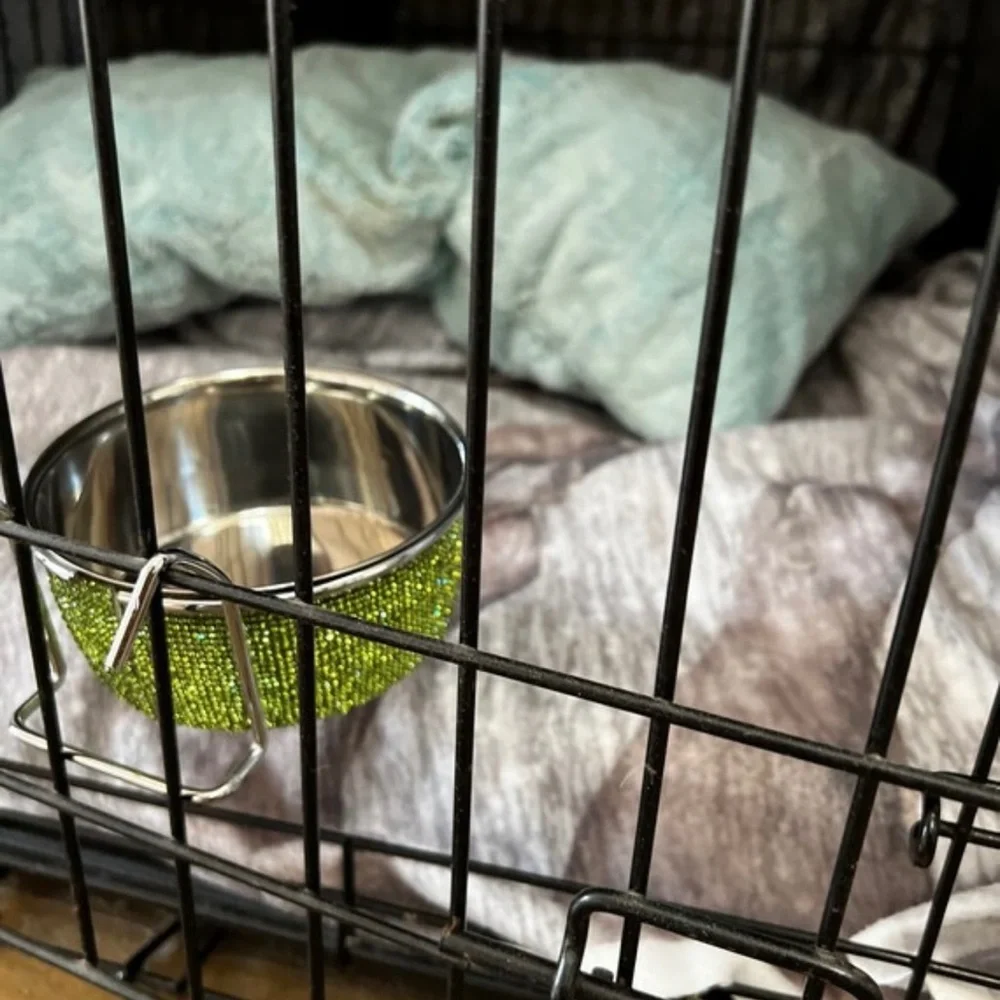 Dog bowl with hooks